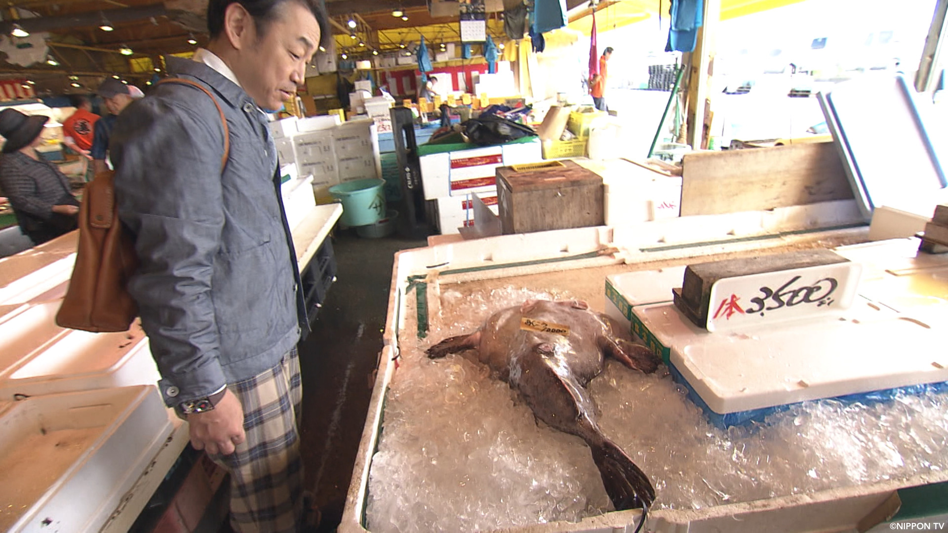 S1E363: NEXT STOP, DISCOVERY