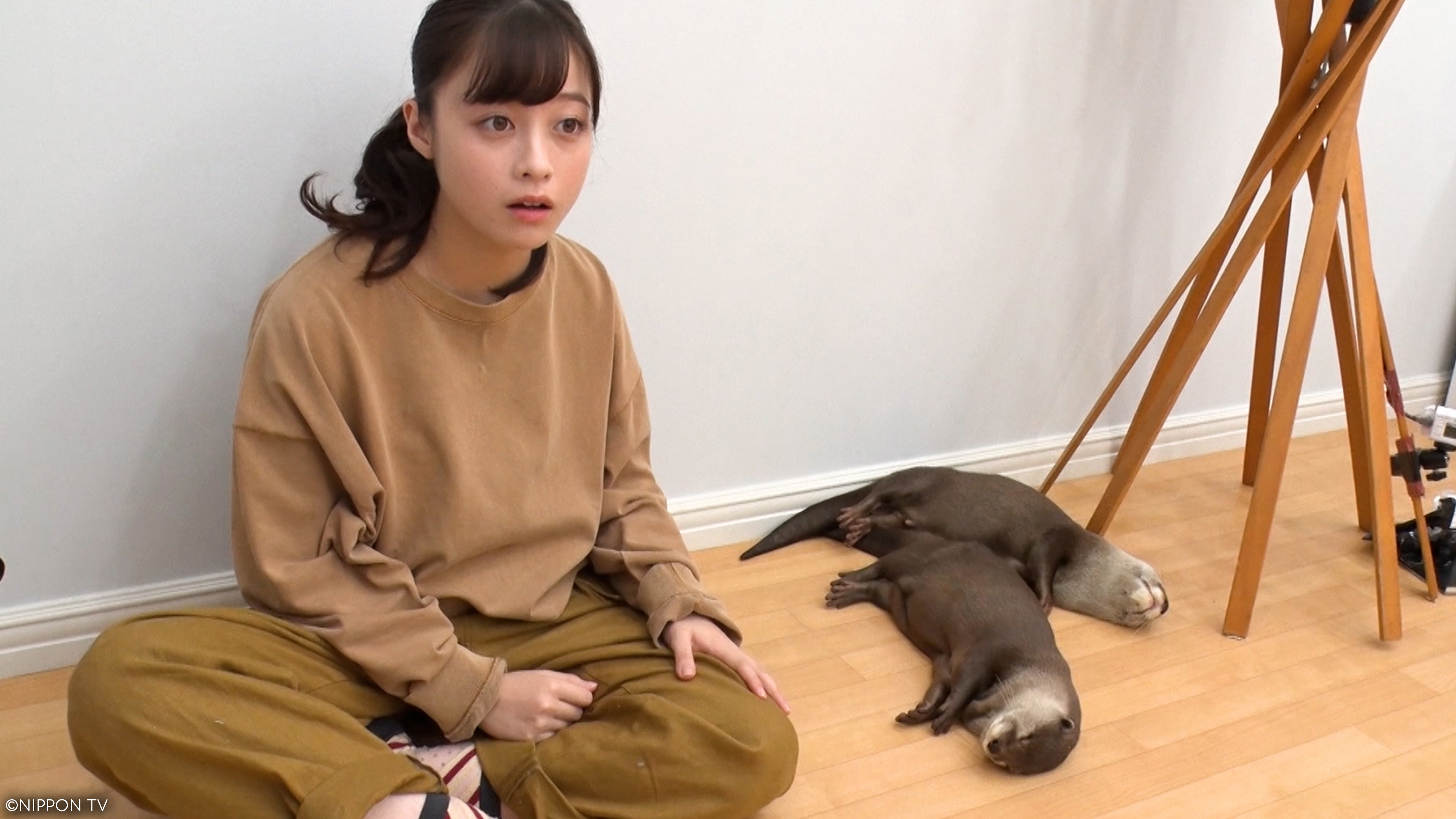 S1E2: I LOVE Everyone's Zoo