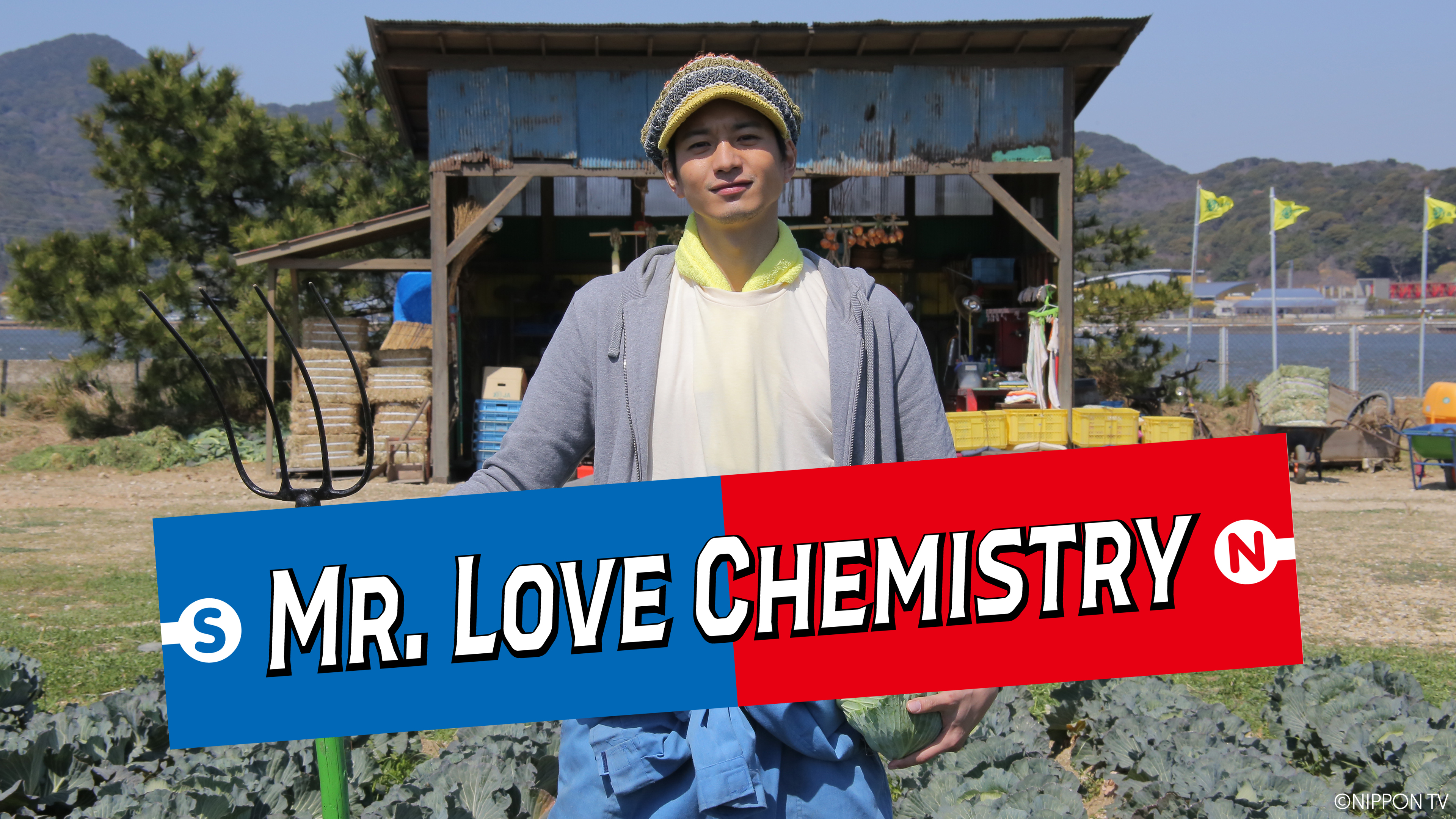 Mr. Love Chemistry