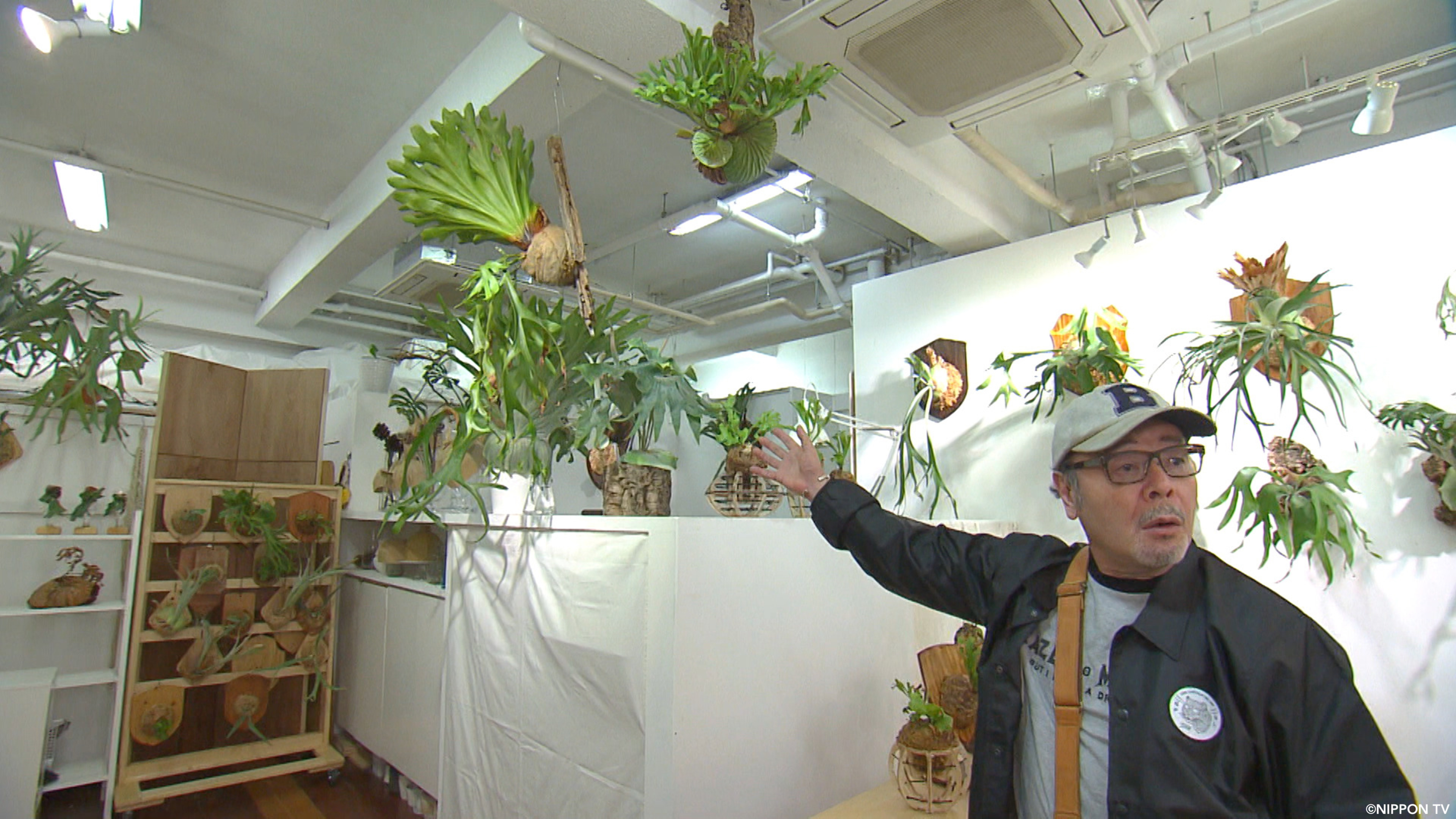 S1E365: NEXT STOP, DISCOVERY