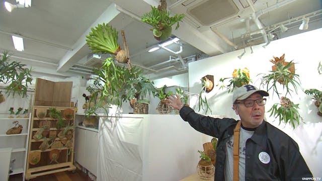 S1E365: NEXT STOP, DISCOVERY