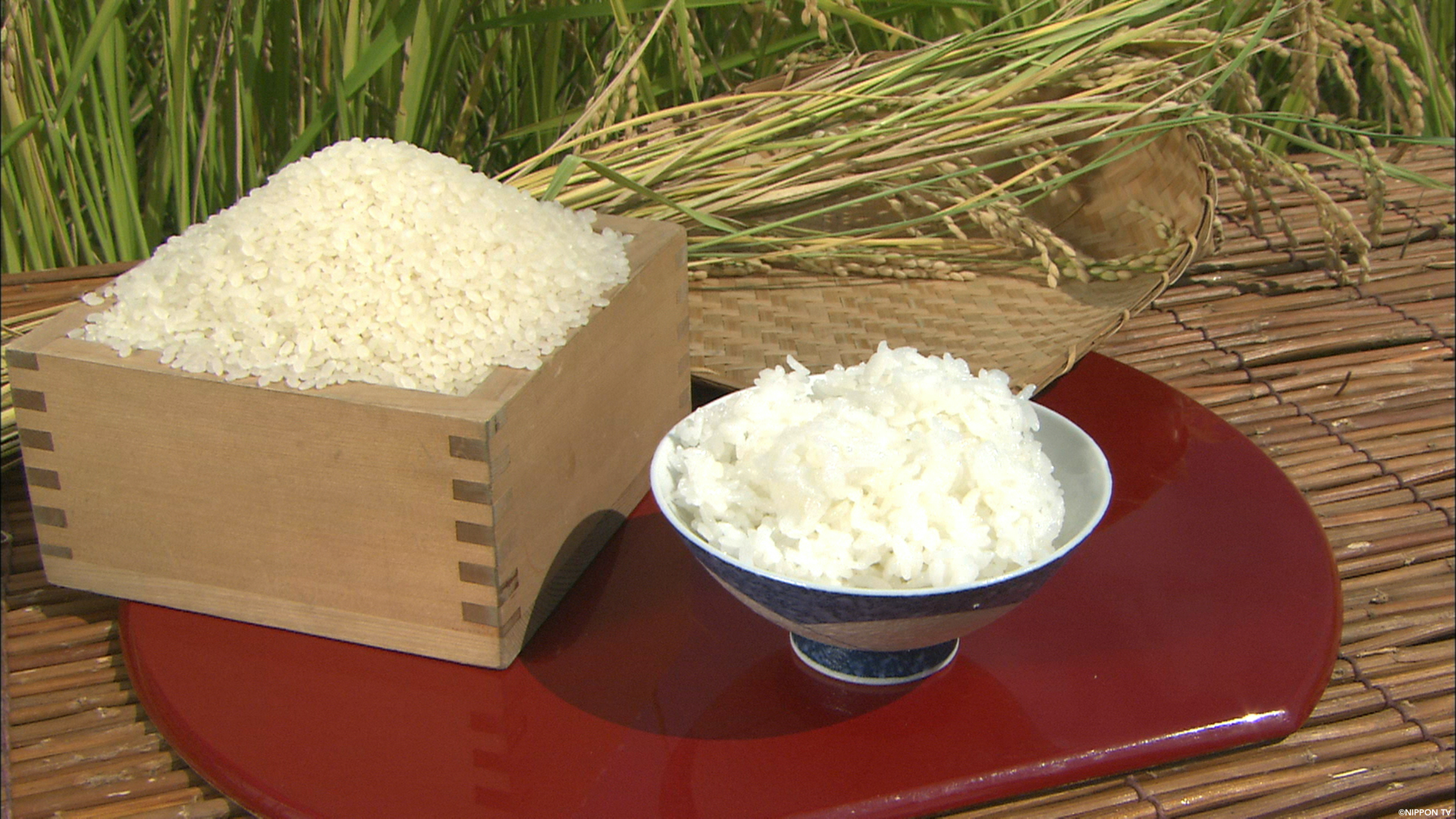 S1E275: Dining★Al Fresco