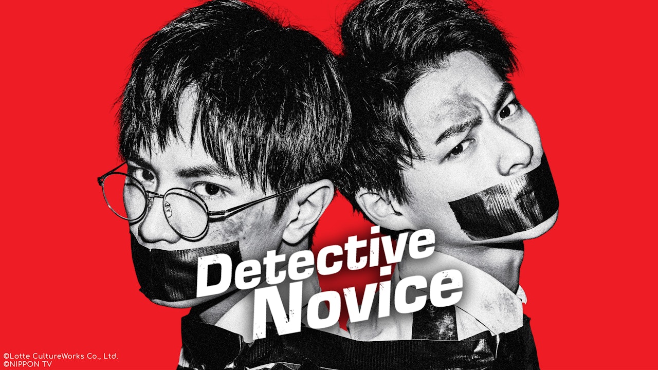 Detective Novice