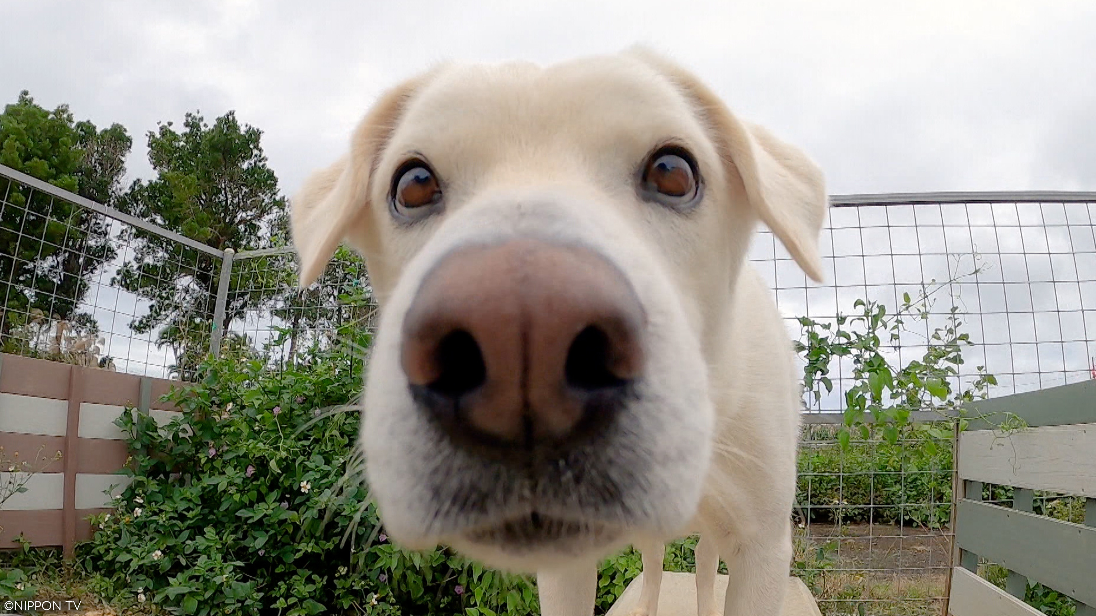 S1SP2-1: I LOVE Everyone's Zoo