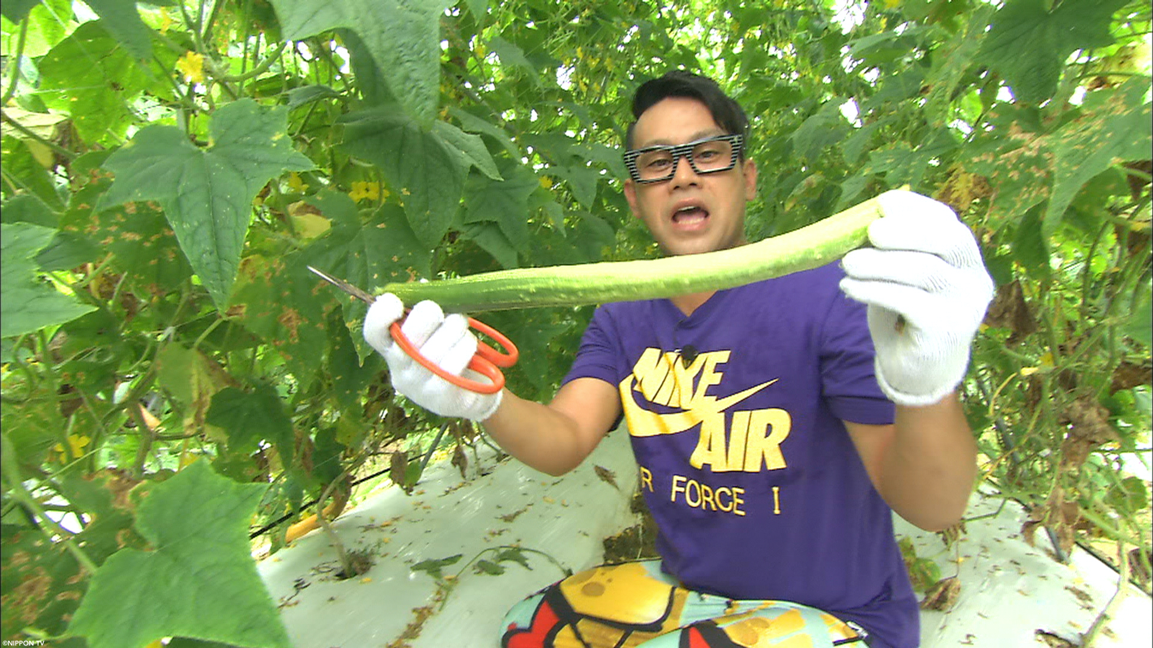 S1E264: Dining★Al Fresco