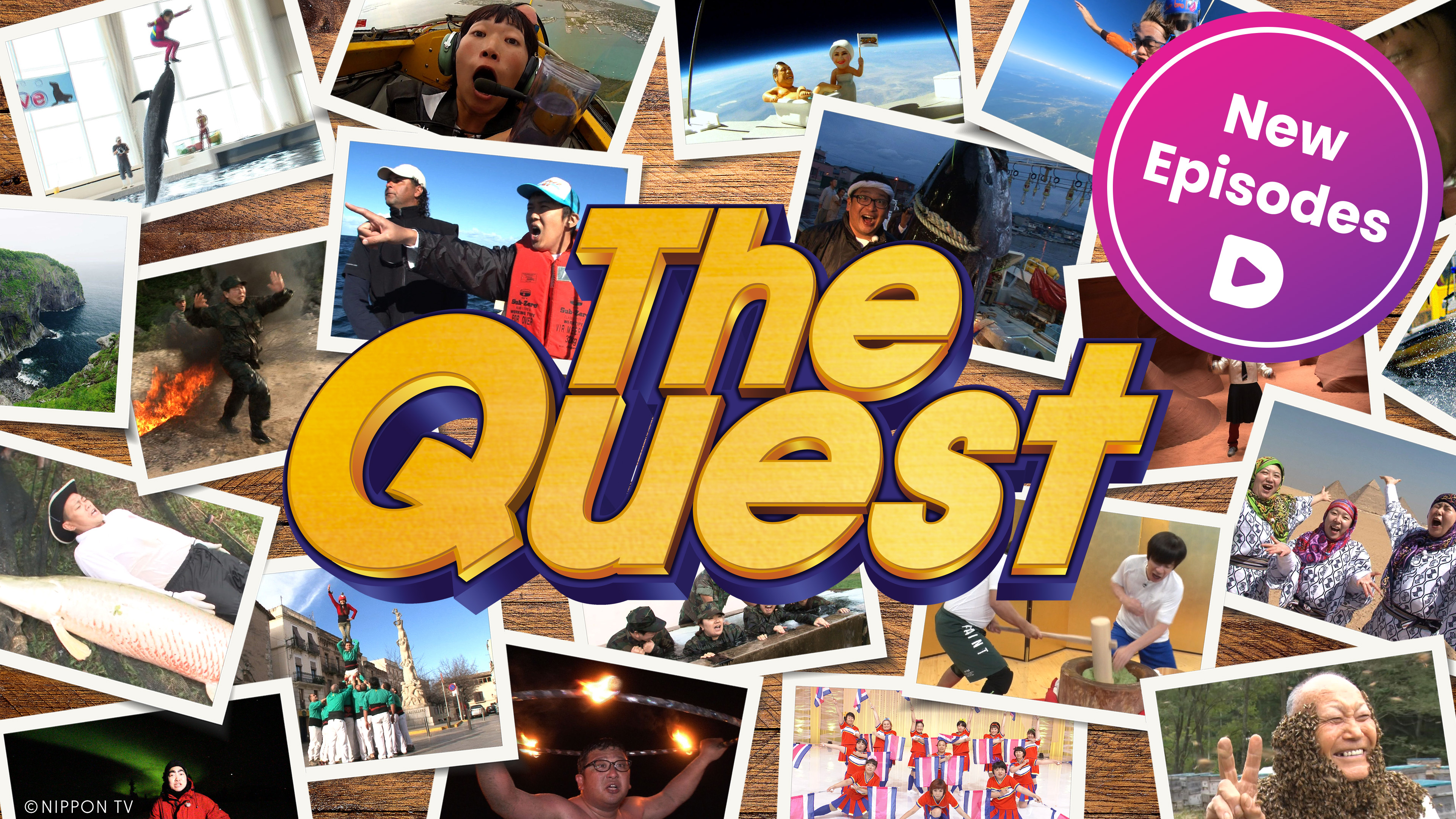 The Quest - New Episodes