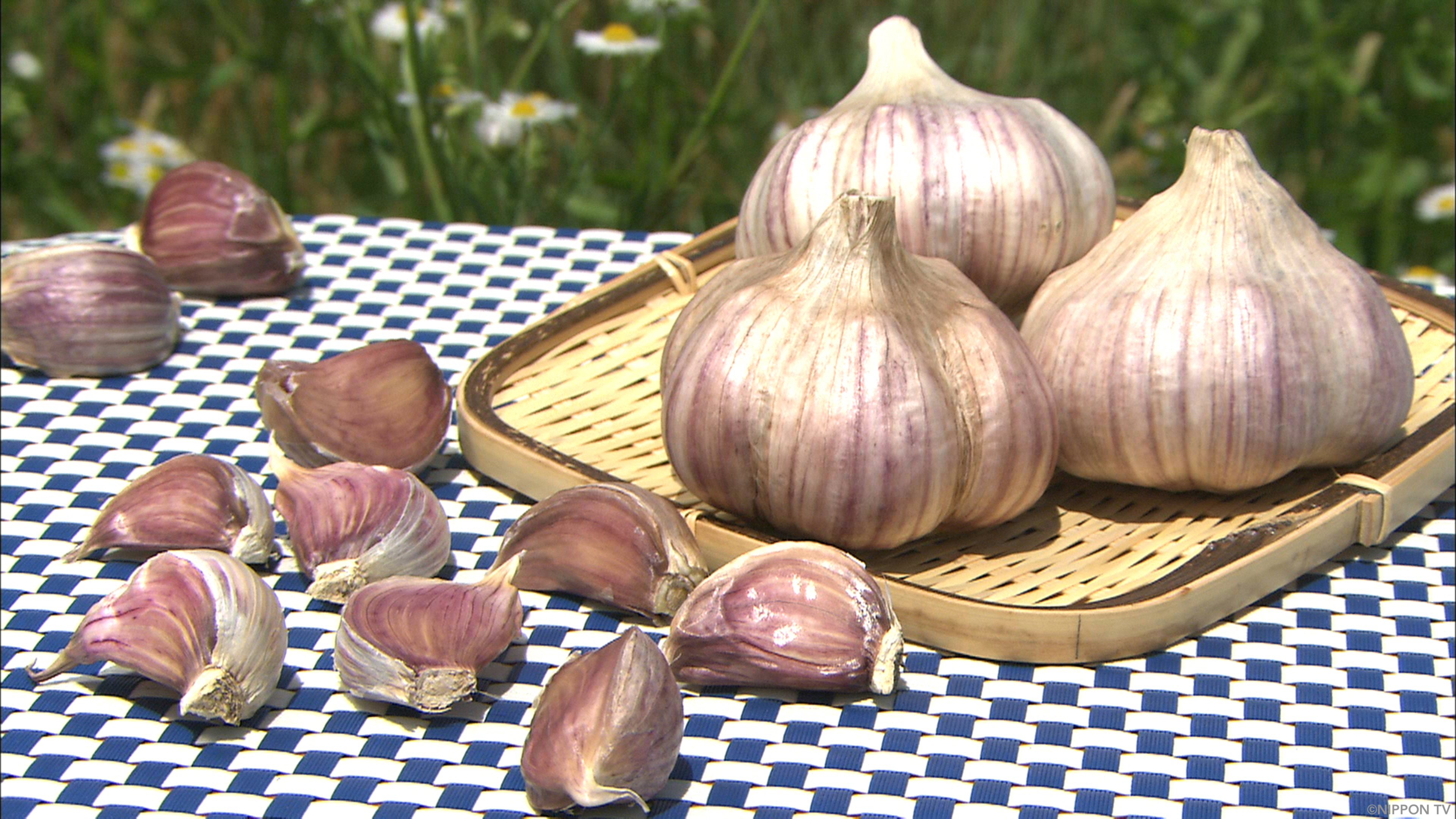 S1E263: Dining★Al Fresco