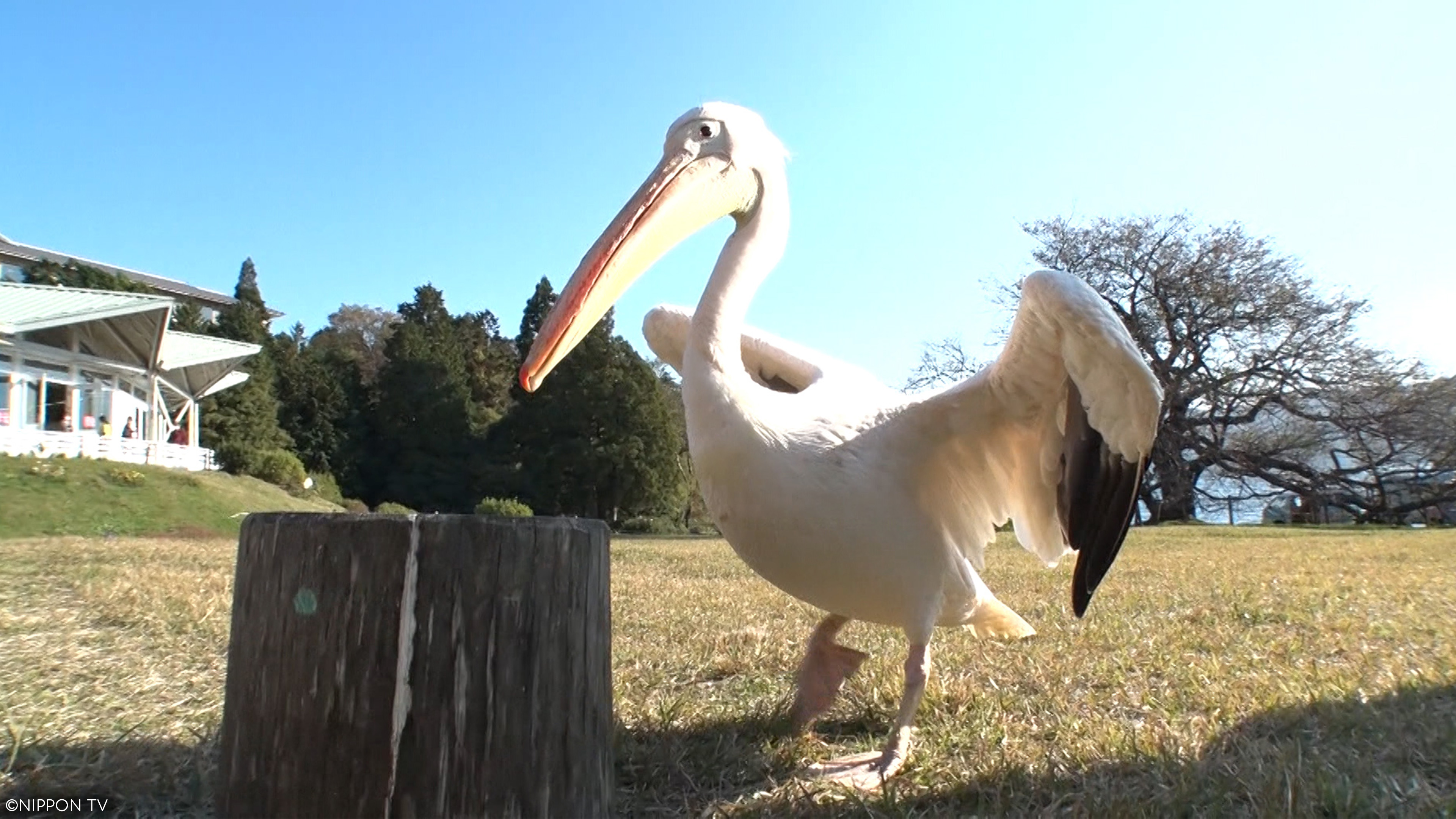 S1E6: I LOVE Everyone's Zoo