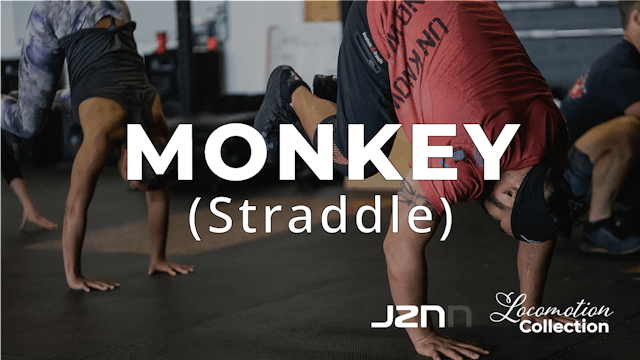 Monkey - Straddle