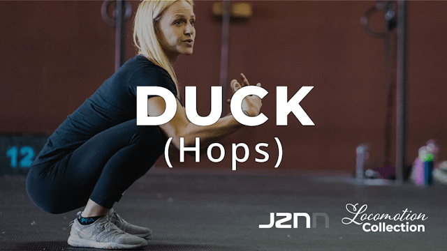 Duck Hops