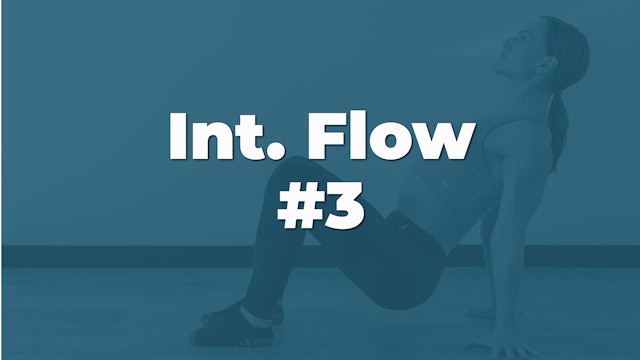 Intermediate Flow Option #3