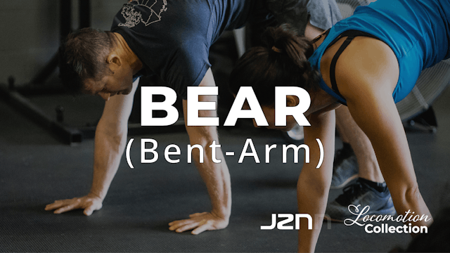 Bear - Bent Arm, Straight Legs