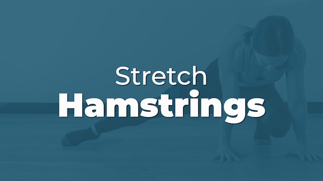 Stretch: Hamstrings