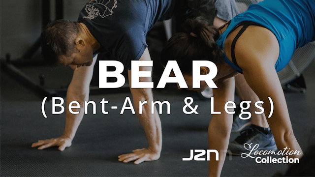 Bear - Bent Arms, Bent Legs