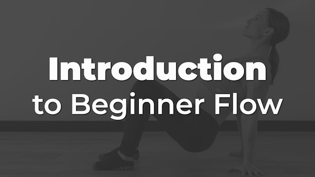 Introduction to Beginner Flow