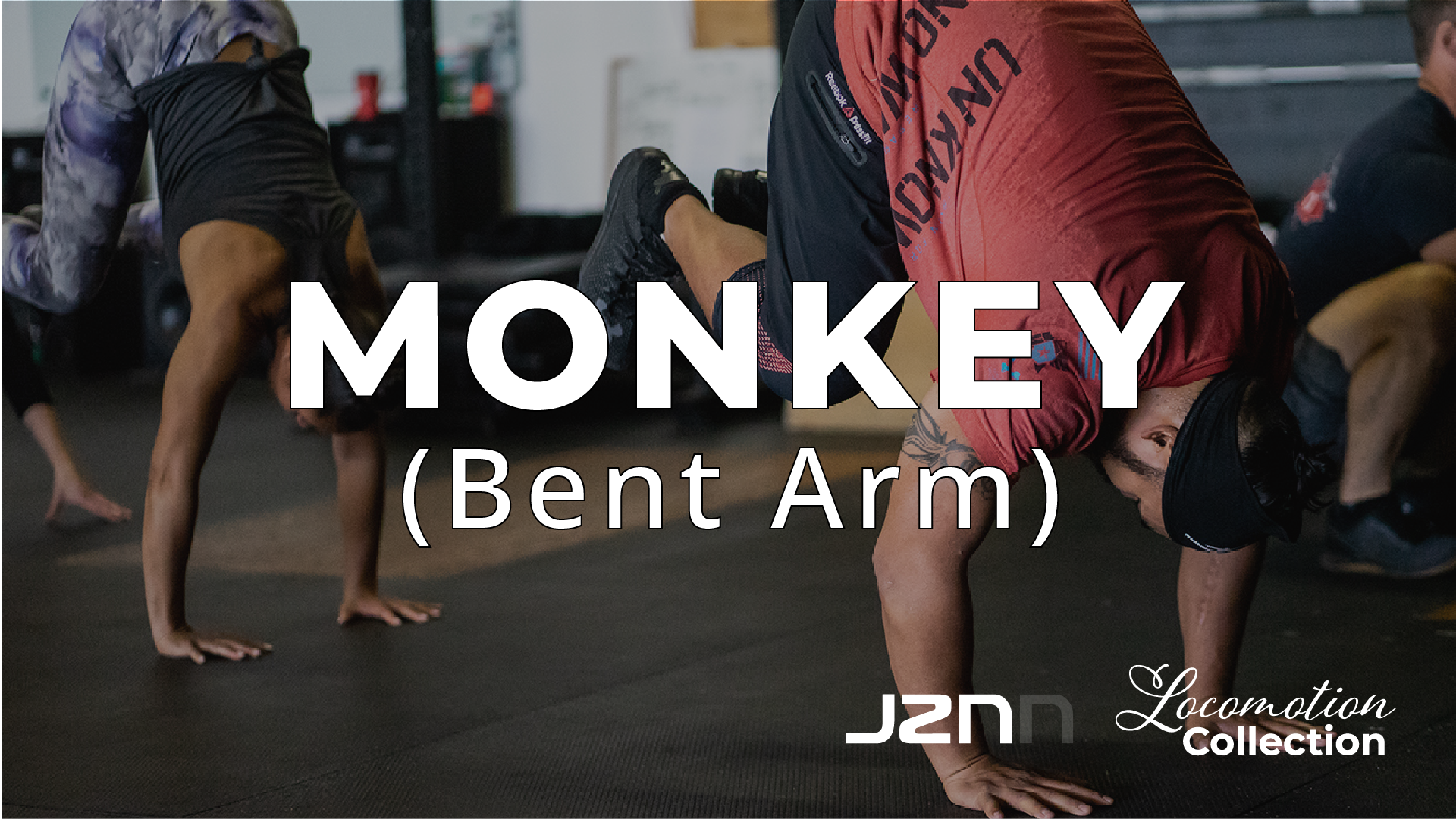 Monkey - Bent Arm