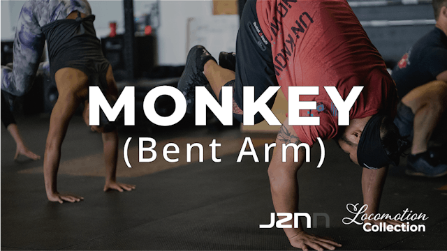 Monkey - Bent Arm