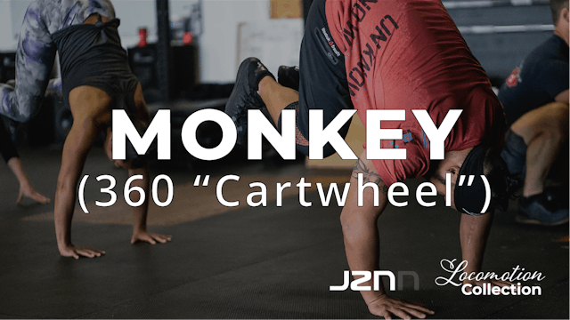 Monkey - 360 Cartwheel