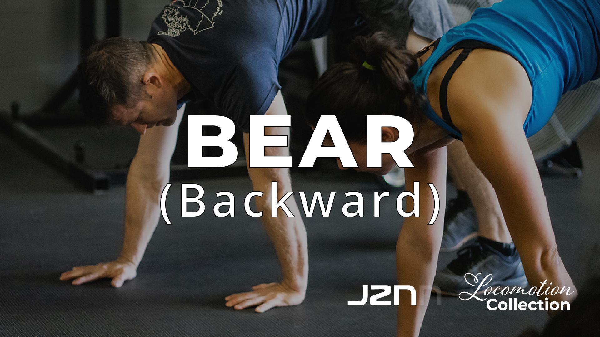 Bear - Backward