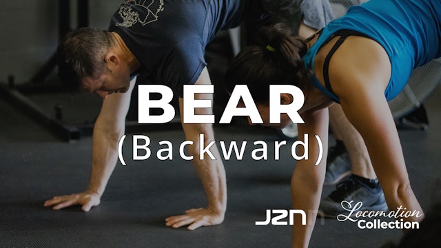 Bear - Backward