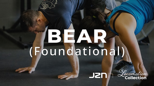 Bear (Foundational)