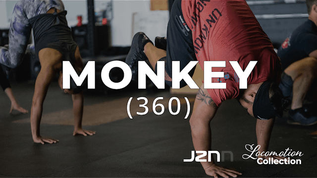 Monkey 360