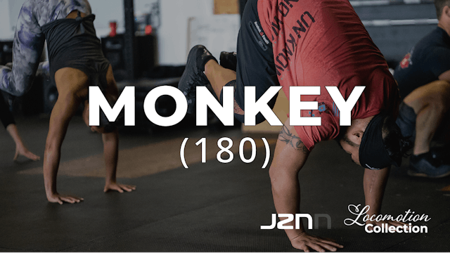 Monkey 180