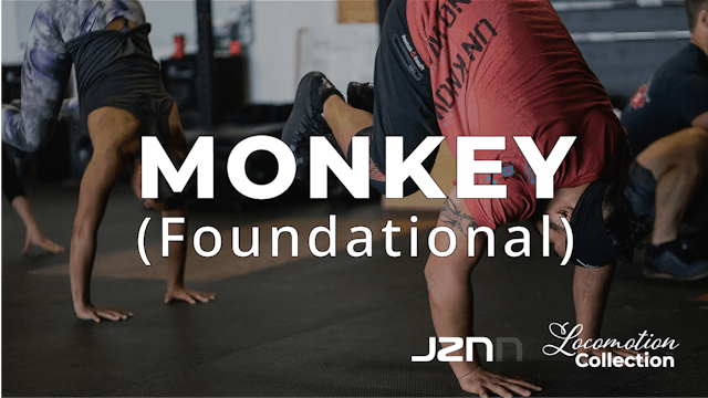 Monkey (Foundational)
