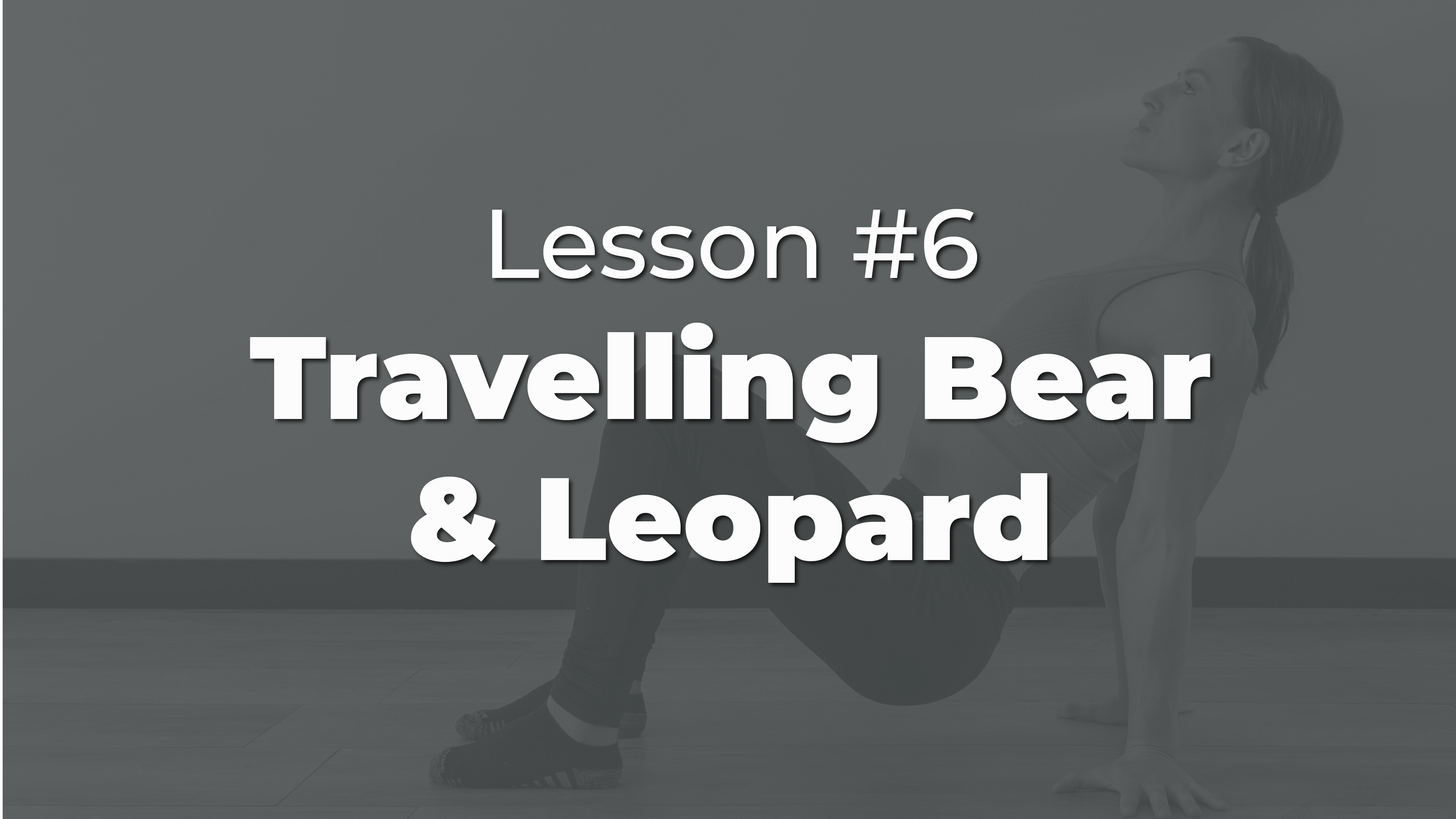 Lesson #7: Travelling Bear & Leopoard
