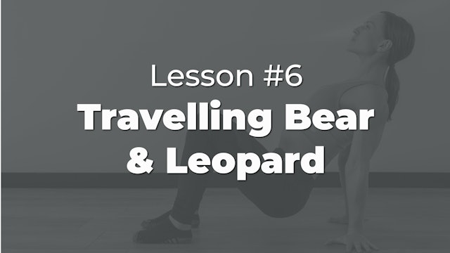 Lesson #7: Travelling Bear & Leopoard