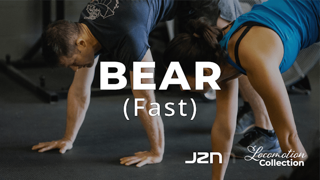 Bear - Fast