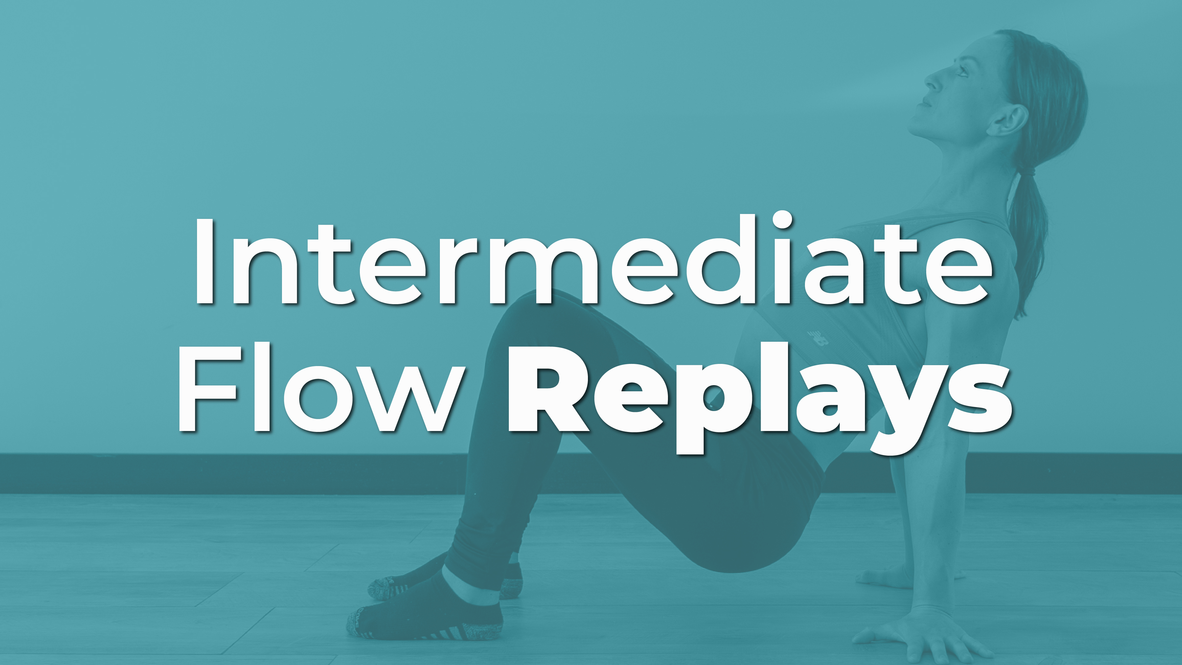 Animal Flow Class Replays (Intermediate)