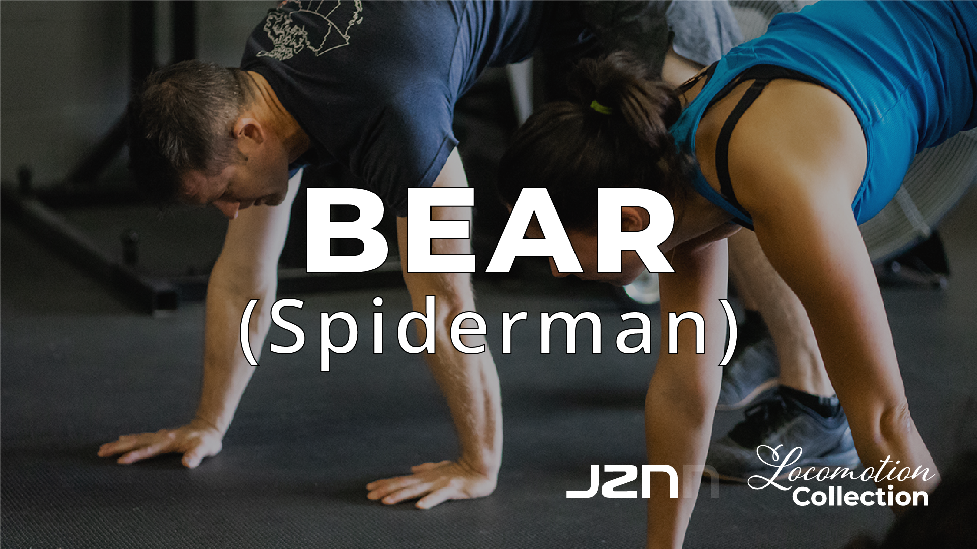 Bear - Spiderman