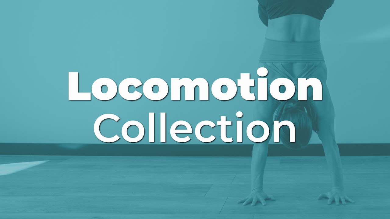 The Locomotion Collection