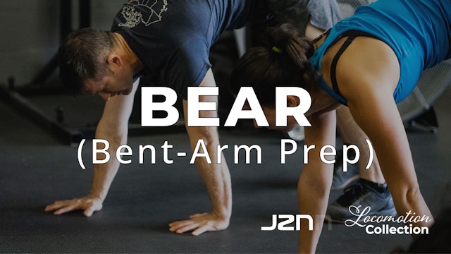 Bear - Bent Arm Prep