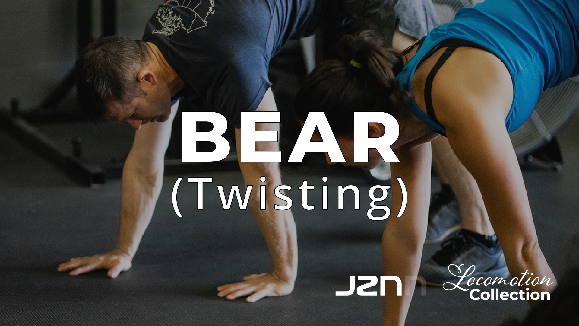 Bear - Twisting