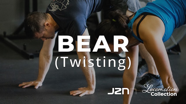 Bear - Twisting