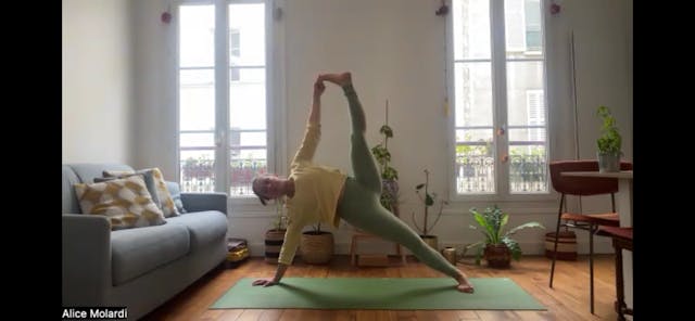 Planche Laterale