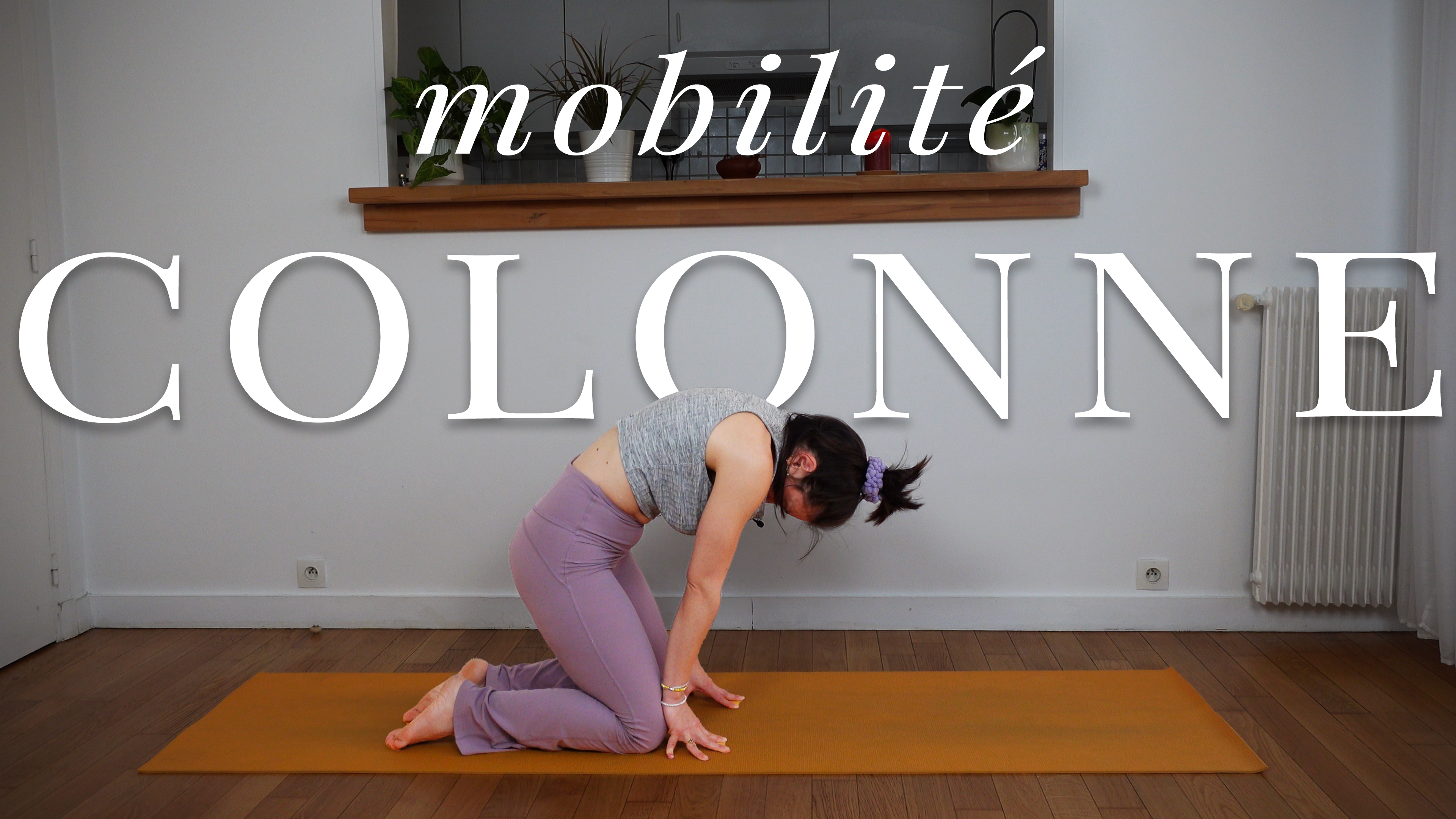 6. Colonne vertébrale