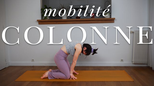 6. Colonne vertébrale