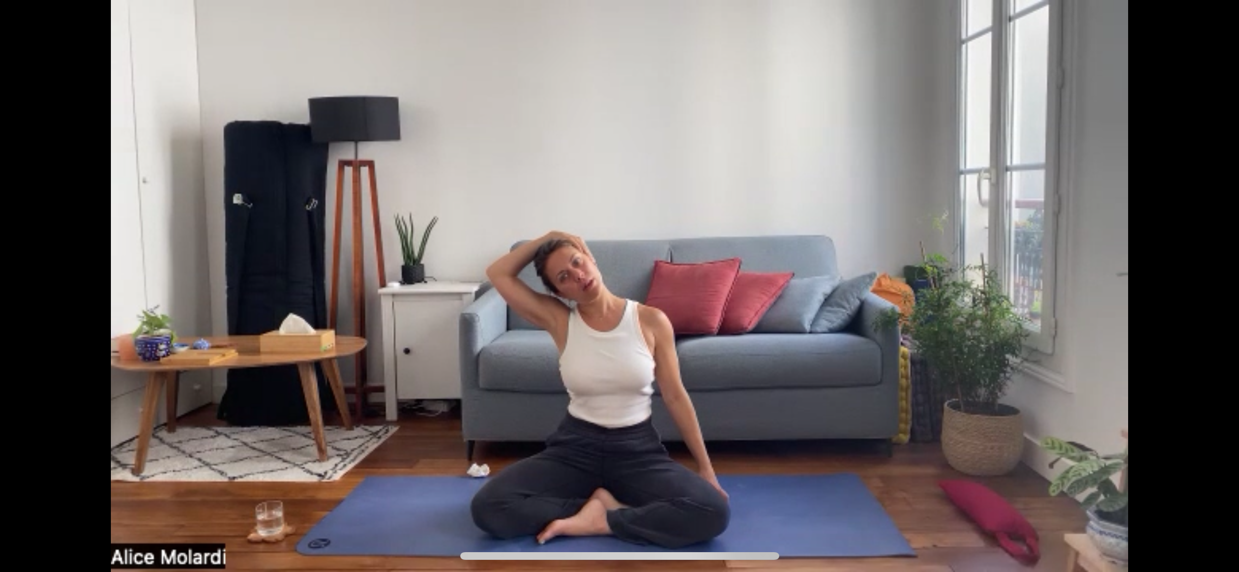 Extensions et Pincha