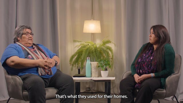 Episode Eleven - Different Dwellings