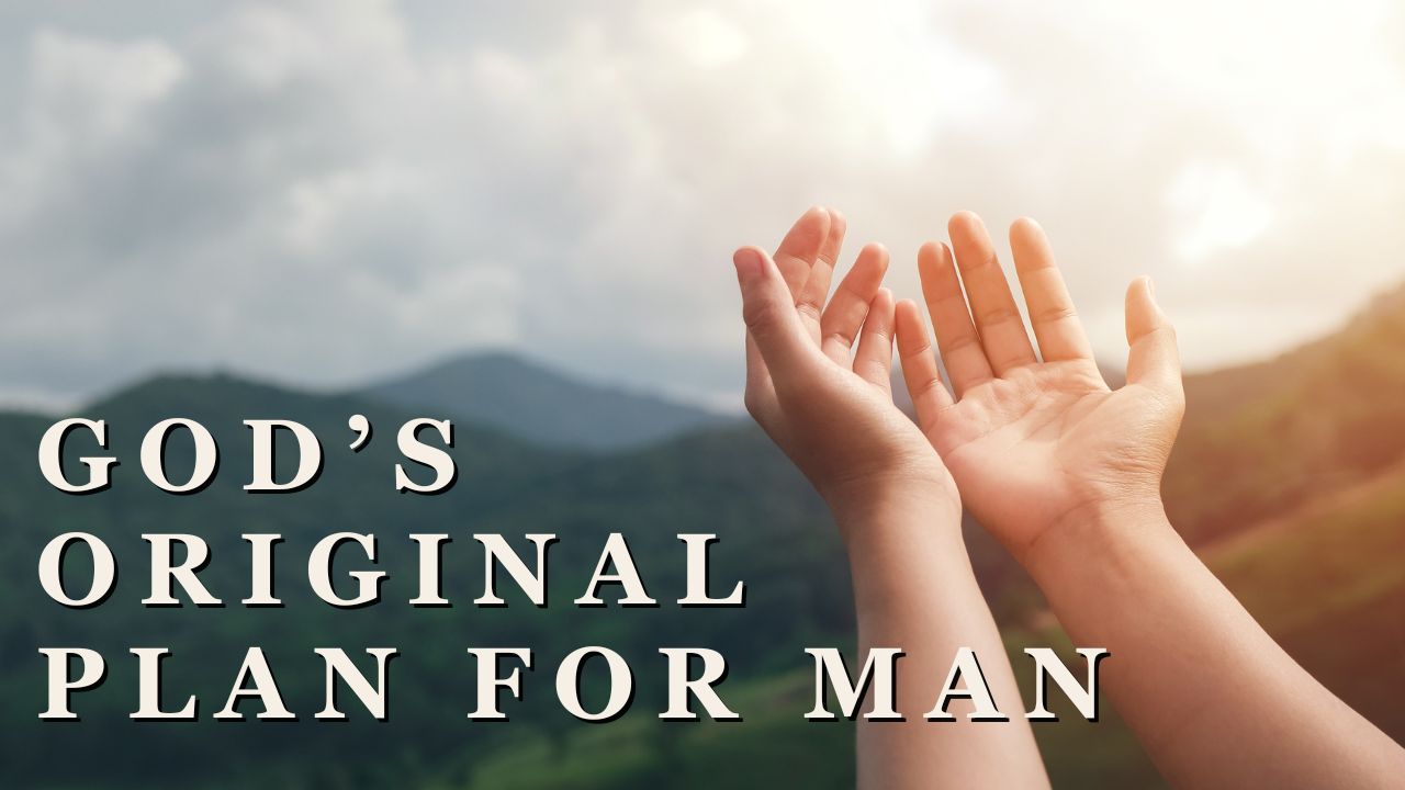 God's Original Plan For Man