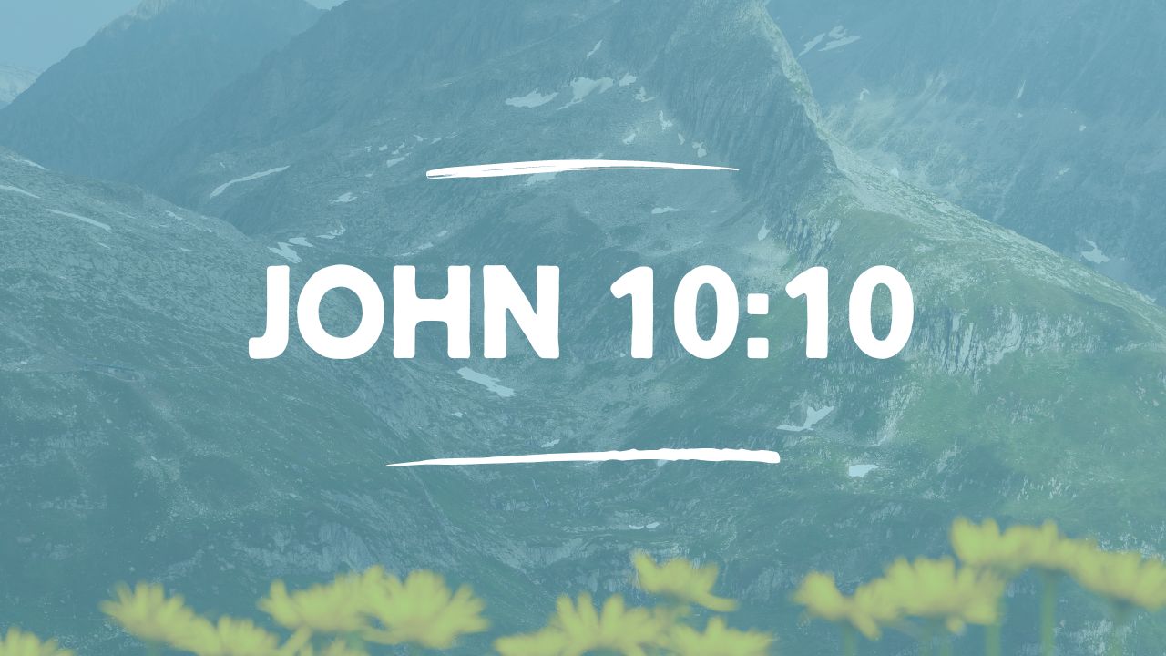 John 10:10