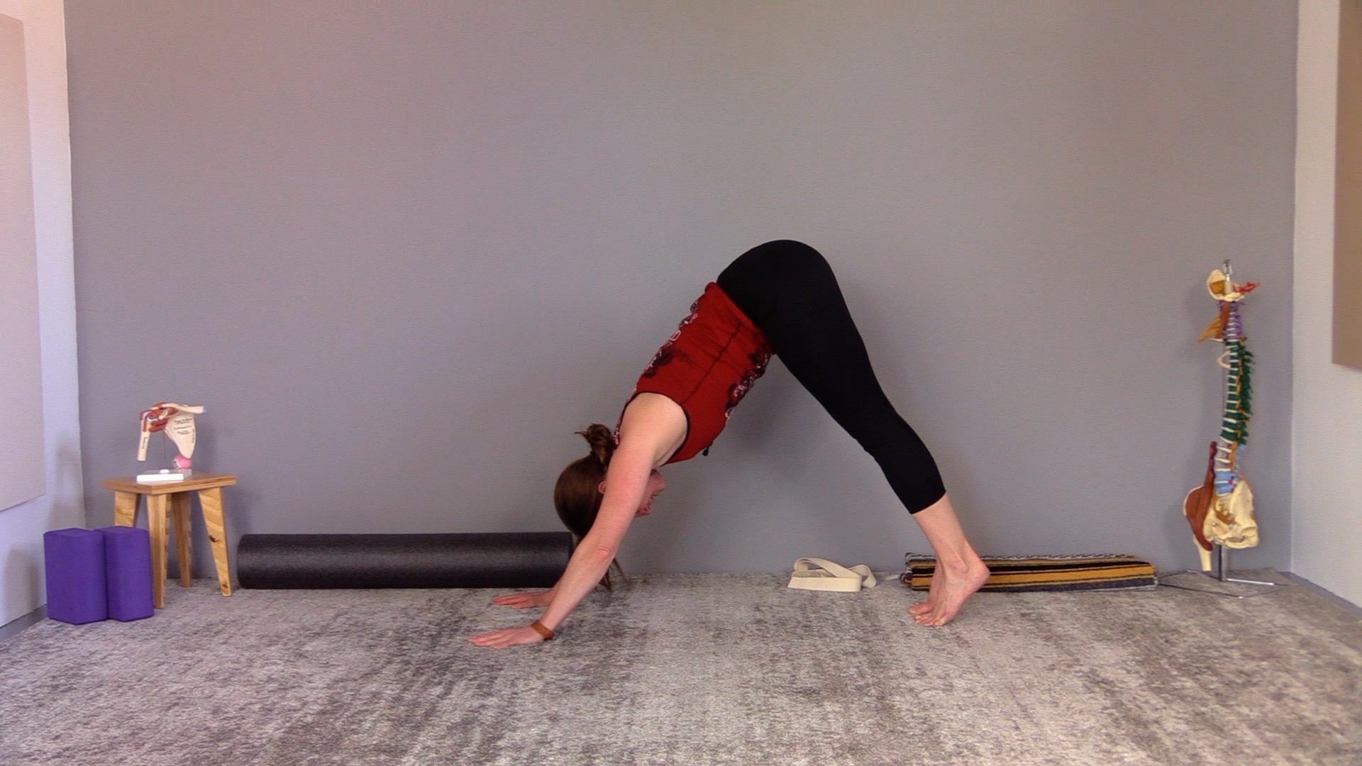 Beginner/All Levels/Moderate #63