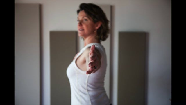 Vinyasa flow without a vinyasa #1