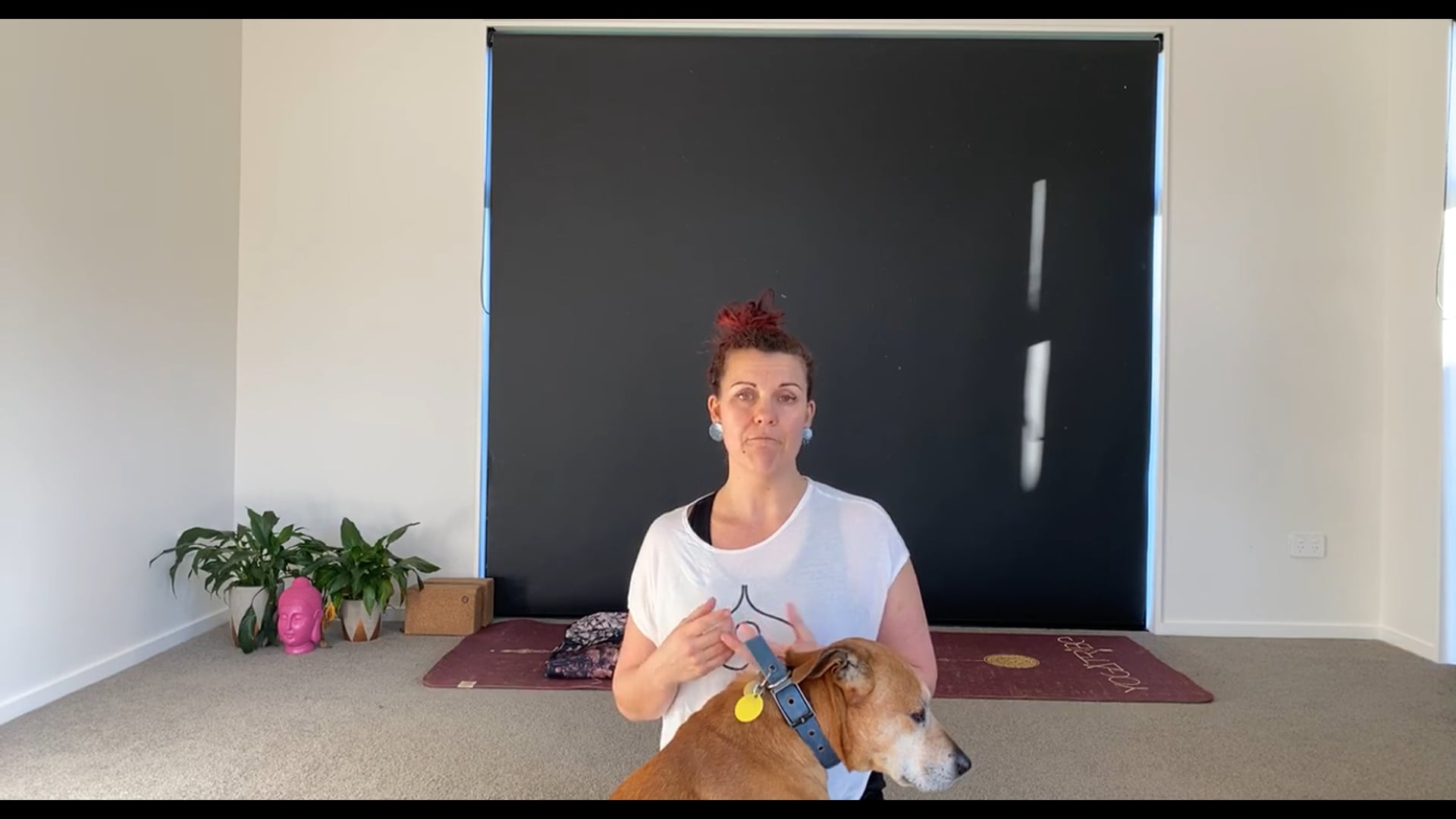 1st Chakra Vinyasa Flow 