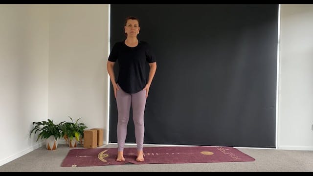 Vinyasa Flow Foundations 2 - standing...