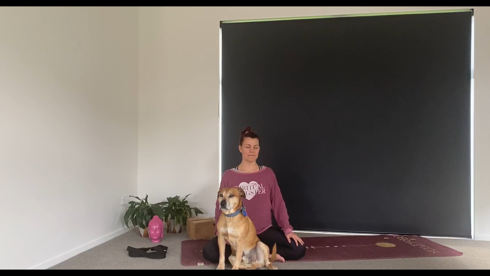 6th Chakra Vinyasa / Hatha Flow - 3rd eye Chakra