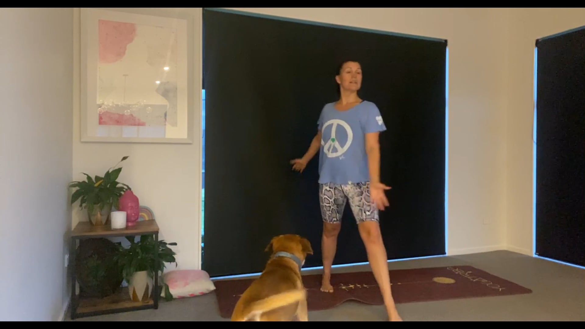 Shakti Barre Pilates Fusion 